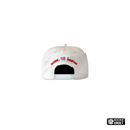 Valley Dreams Wrecked Anthem Cap White